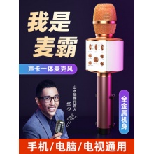 话筒音响一体麦克风山水全民K歌家用电视KTV专用无线蓝牙手机卡拉ok自带声卡唱吧儿童通用直播唱歌设备套装